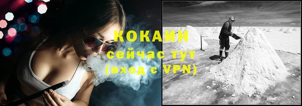 тгк Касимов
