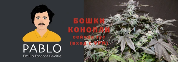 тгк Касимов