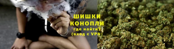 ПСИЛОЦИБИНОВЫЕ ГРИБЫ Карталы