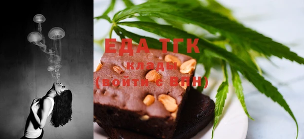 тгк Касимов