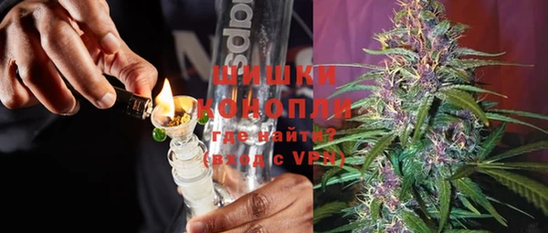 ПСИЛОЦИБИНОВЫЕ ГРИБЫ Карталы